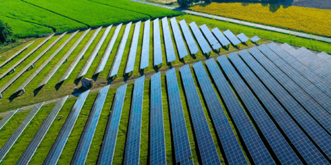 Un informe analiza el estado actual de los permisos de proyectos de energías renovable en la UE