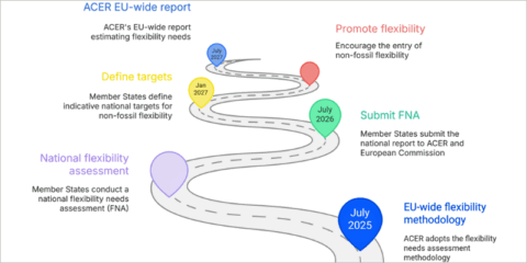 Nueva metodología para evaluar las necesidades nacionales de flexibilidad eléctrica en la UE