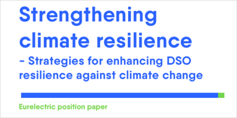 Recomendaciones y estrategias para la resiliencia de las redes eléctricas europeas ante los impactos físicos del cambio climático