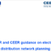 Guía de ACER y CEER sobre la planificación de la red de distribución eléctrica