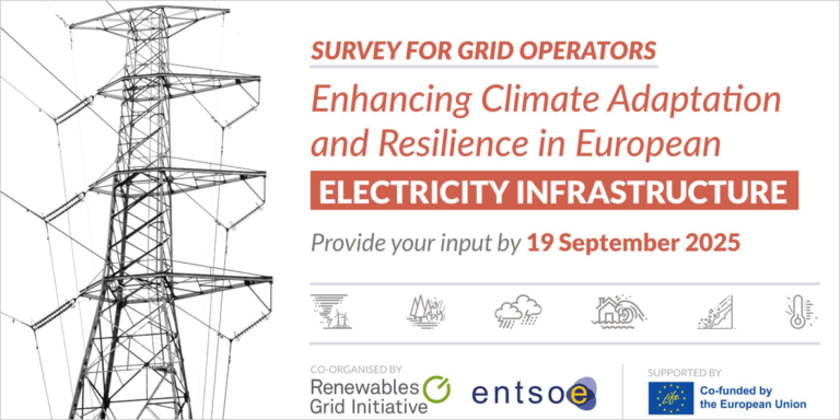 Encuesta para crear una base de datos de medidas de adaptación y resiliencia climática de la red eléctrica