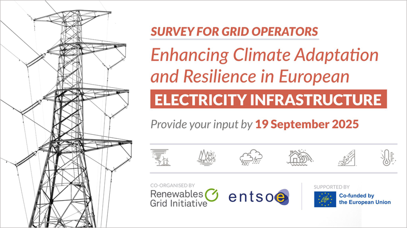 Encuesta para crear una base de datos de medidas de adaptación y resiliencia climática de la red eléctrica