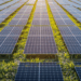 Declarados como estratégicos siete proyectos fotovoltaicos y de almacenamiento en Baleares