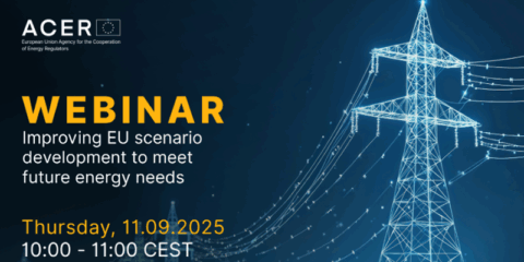 Un estudio de ACER expone mejoras para el desarrollo de futuros escenarios energéticos de la UE