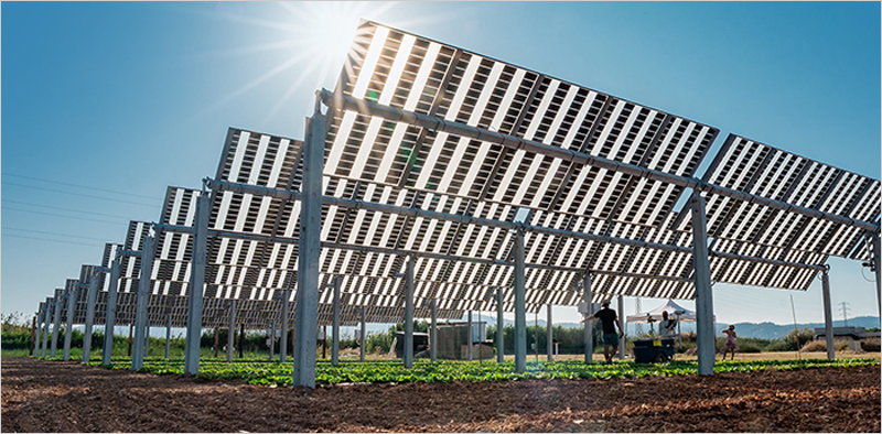 Se inaugura, en el Agrópolis de la UPC, la primera planta agrivoltaica monitorizada para el control integral del cultivo hortícola