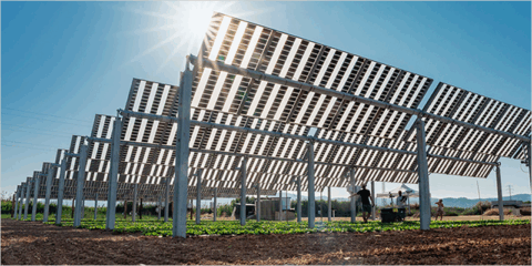 La UPC inaugura en Viladecans una planta agrivoltaica monitorizada para el control integral del cultivo hortícola