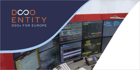 EU DSO Entity lanza un documento sobre los módulos de parques eléctricos formadores de red