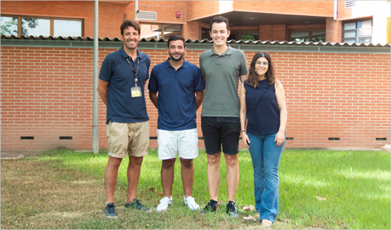 Investigadores desarrollan electrocatalizadores innovadores para la producción sostenible de hidrógeno verde