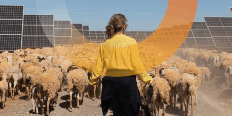 El sector fotovoltaico se estabiliza en España, según el informe anual de UNEF