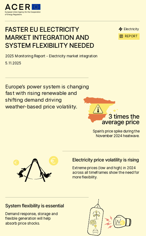 infografía de informe