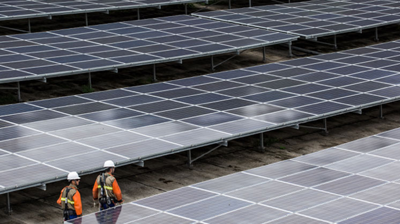 instalaciones fotovoltaicas de Fernando de Noronha (Brasil).