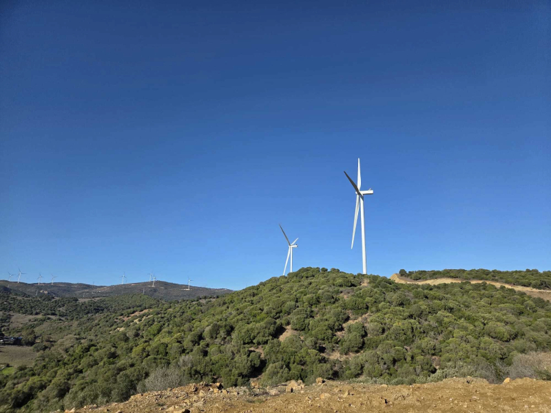 parques eólicos