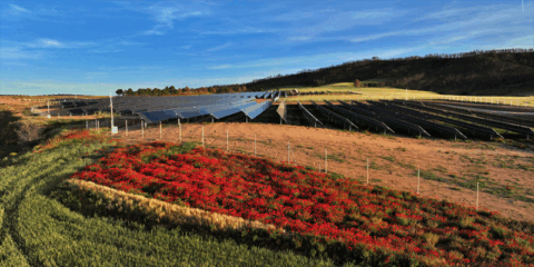 Arranca la iniciativa Solarsens para catalogar los módulos fotovoltaicos según su composición