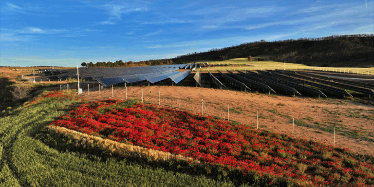 Arranca el proyecto Solarsens para desarrollar un sistema para catalogar los módulos fotovoltaicos según su composición