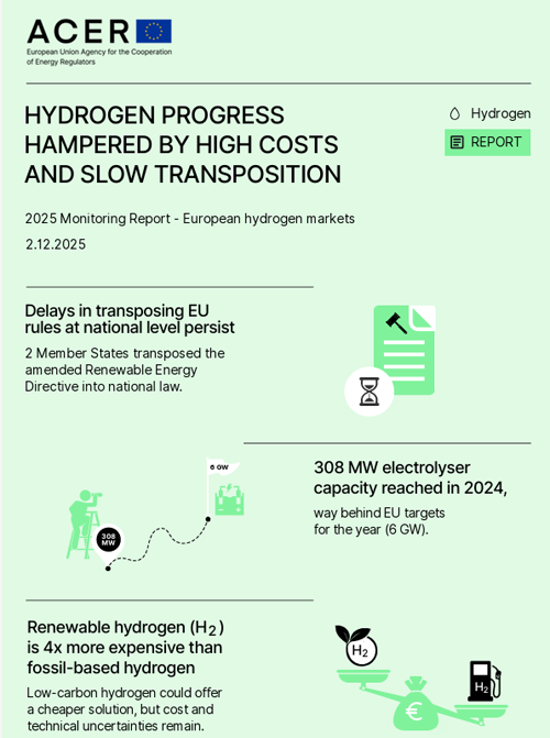 infografía del informe