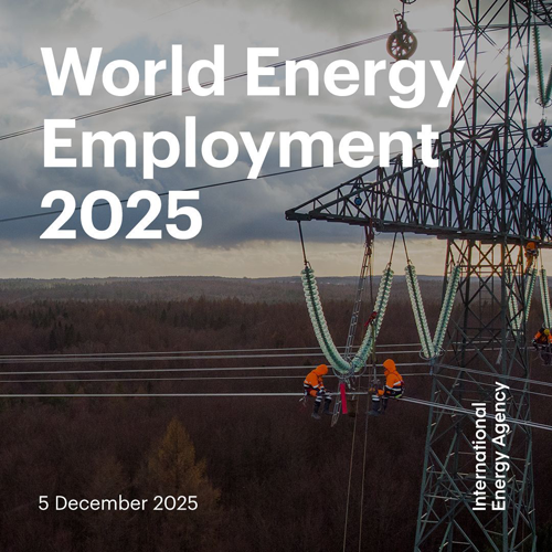 informe Empleo Energético Mundial 2025,