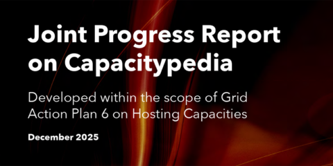Un informe de ENTSO-E y DSO Entity analiza la capacidad de alojamiento de las redes eléctricas