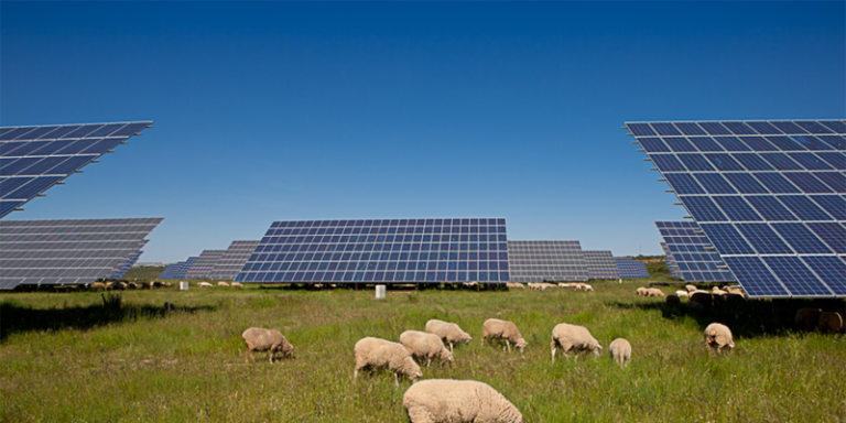 El 66,3% de los españoles cree que la energía solar debería desarrollarse más en España, según un estudio