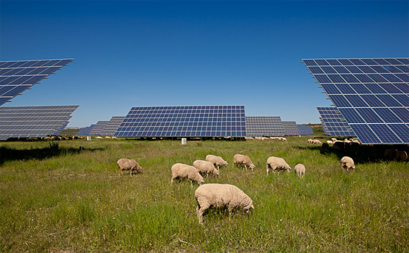 El 66,3% de los españoles cree que la energía solar debería desarrollarse más en España, según un estudio