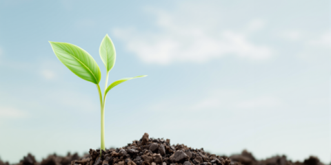 La CE invita a participar en la definición de su política climática para el período posterior a 2030