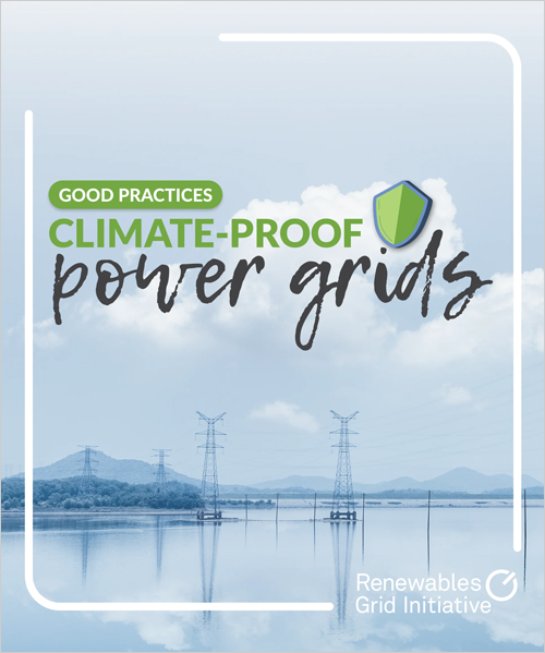 Renewables Grid Initiative recopila buenas prácticas para la adaptación de redes eléctricas al cambio climático