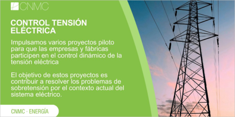 Impulso a proyectos piloto para que los grandes consumidores participen en el control de la tensión eléctrica