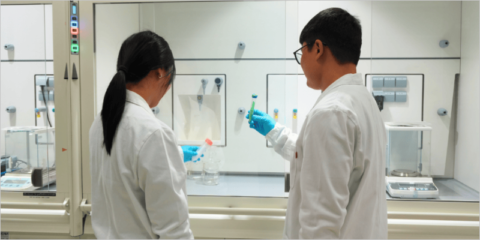 Investigadores del IREC y del ICN2 avanzan en el desarrollo de electrocatalizadores de alta entropía