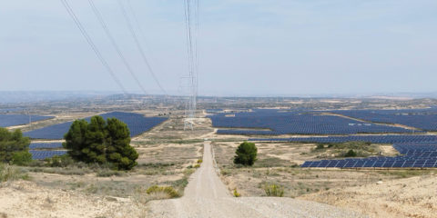 El proyecto Bret impulsa la integración de la biodiversidad en proyectos de energías renovables