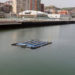 El Puerto de Bilbao prueba un piloto de energía solar flotante modular para entornos marinos