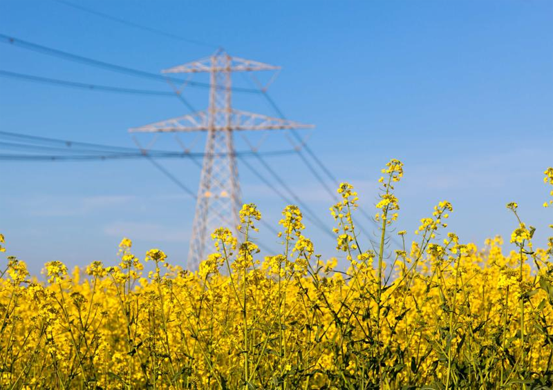 ENTSO-E propone modificar la metodología de dimensionamiento regional de la capacidad de reserva eléctrica