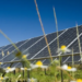 Las renovables suponen el 59,8% de la generación eléctrica total nacional en el mes de abril