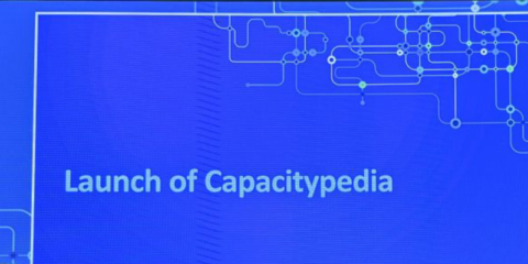 Capacitypedia, nuevo portal digital para consultar la capacidad de las redes eléctricas europeas