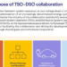 Informe ‘Good Practices in DSO-TSO Collaboration in Network Planning’