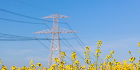 ACER actualiza la metodología para optimizar el dimensionamiento regional de las reservas eléctricas