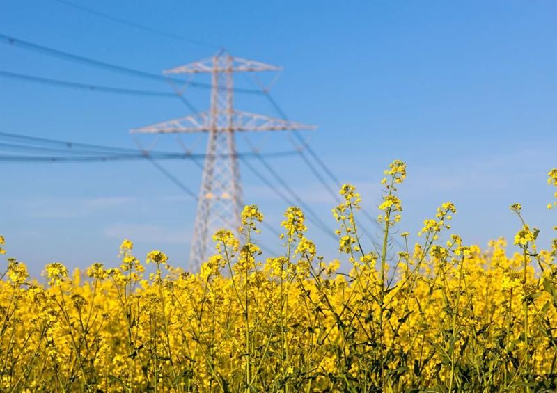 ACER actualiza la metodología para optimizar el dimensionamiento regional de las reservas eléctricas