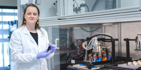 La plataforma Maitena acelera el descubrimiento de materiales con inteligencia artificial y automatización