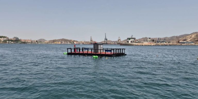 La plataforma, en el Puerto de Cartagena.