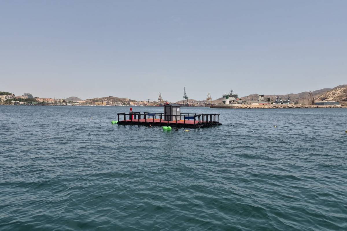 La plataforma, en el Puerto de Cartagena.
