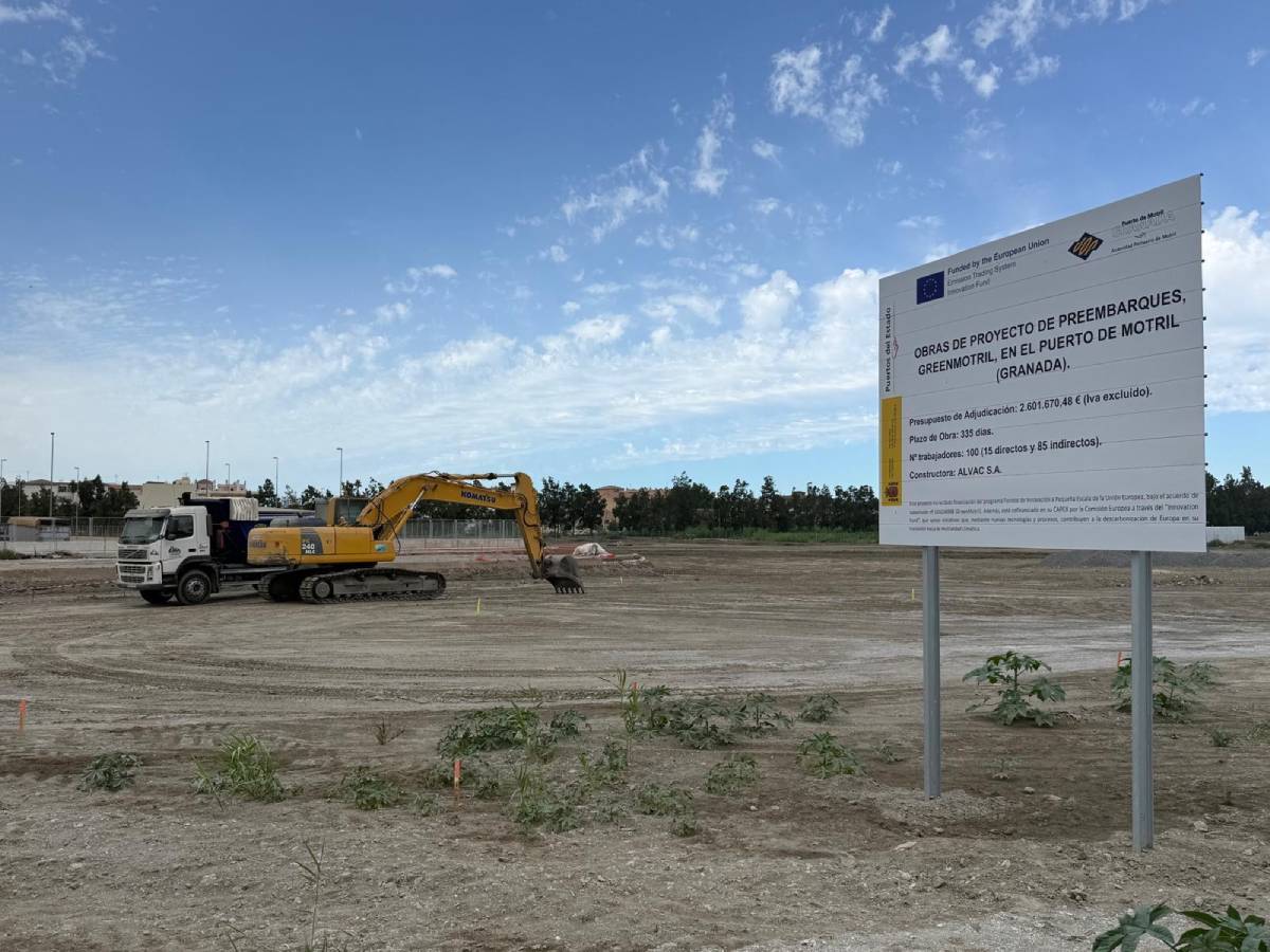 terrenos del proyecto