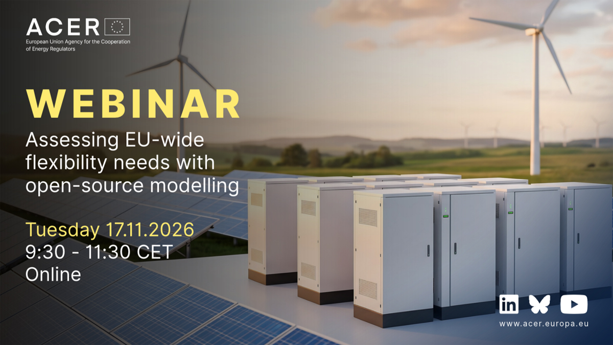 Imagen informativa sobre la consulta pública de ACER y el modelo EU-Flex para la flexibilidad eléctrica en la UE
